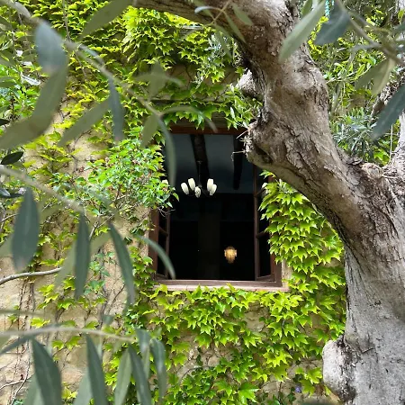 Antiguo Molino Lejlighed Arnés